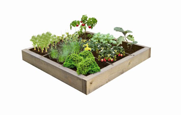 Moncarrepotager.com est un concept innovant, qui s’inscrit parfaitement dans la tendance « made myself », et un besoin de savoir d’où proviennent les aliments de nos assiettes.