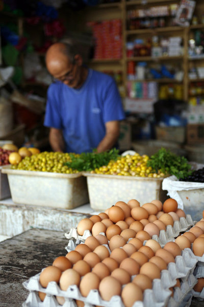 La couleur de la coquille, rousse ou blanche, dépend de la souche génétique de la poule.