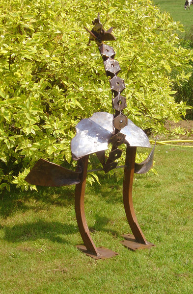 La grande Zoé, la belle belle autruche du jardin.