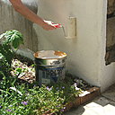 Etape 17 : Pour finir, passer un rouleau avec un manchon spécial façade (poils longs). Application de la peinture en passes croisées lissées, de droite à gauche et de bas en haut, en veillant à bien décharger le rouleau à chaque fois.