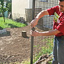Etape 9 : Placez le panneau Zenturo® entre les 2 poteaux Bekaclip® et fixez-le à l’aide des colliers.