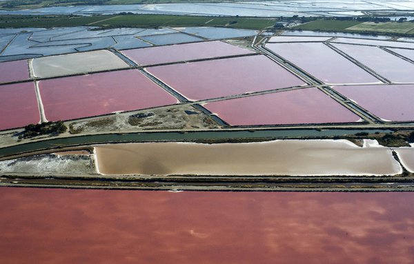 Spectaculaires, les salins couvrent une large partie des marais au sud-est du village fortifié d’Aigues-Mortes.