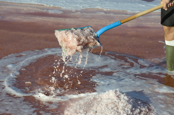 L’eau de mer circule dans des bassins de faible profondeur, avant d’être récoltée par les sauniers.
