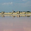 Nichée en plein cœur des marais salants de la Camargue, Aigues-Mortes était un petit hameau de pêcheurs et de ramasseurs de sel, avant de devenir une cité médiévale fortifiée au XIIIème siècle. Ses remparts et ses 6 tours, notamment la Tour de Constance, sont très réputés, et attirent de nombreux touristes.
