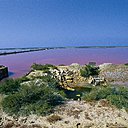 Des paysages d’une grande douceur, dignes des plus beaux tableaux, où le bleu du ciel et le rose-orangé des marais se déclinent et se rencontrent.