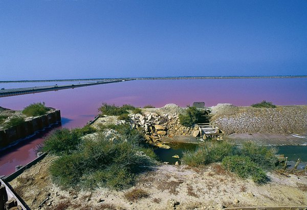 Des paysages d’une grande douceur, dignes des plus beaux tableaux, où le bleu du ciel et le rose-orangé des marais se déclinent et se rencontrent.