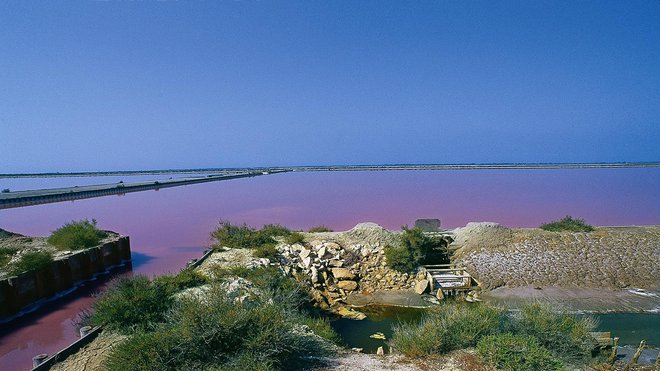 Des paysages d’une grande douceur, dignes des plus beaux tableaux, où le bleu du ciel et le rose-orangé des marais se déclinent et se rencontrent. Des paysages d’une grande douceur, dignes des plus beaux tableaux, où le bleu du ciel et le rose-orangé des marais se déclinent et se rencontrent.