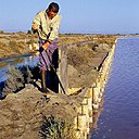 Le saunier fait passer l'eau de bassin en bassin, pour favoriser l'évaporation.