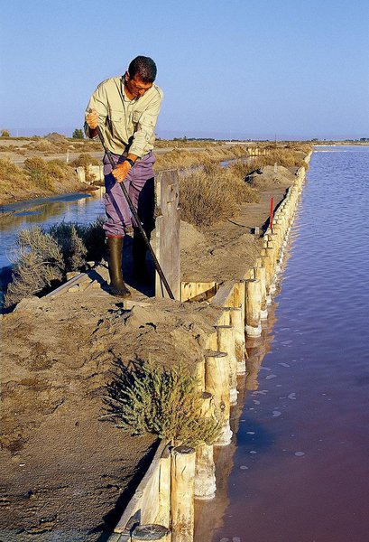 Le saunier fait passer l'eau de bassin en bassin, pour favoriser l'évaporation.