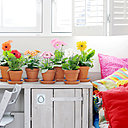 Symbole de générosité et de bonté, le gerbera est une fleur lumineuse, à offrir sans hésiter. Rose, elle représente la lumière, orange, elle est synonyme de chaleur, et blanche, elle signifie la joie et la pureté. Symbole de générosité et de bonté, le gerbera est une fleur lumineuse, à offrir sans hésiter. Rose, elle représente la lumière, orange, elle est synonyme de chaleur, et blanche, elle signifie la joie et la pureté.