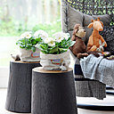 Le gerbera est une plante vivace dont la durée de vie peut atteindre trois ans. Pour cela, il faut le placer dans un endroit lumineux, et veiller à ce que la température reste stable, entre 18° et 24°. Le gerbera est une plante vivace dont la durée de vie peut atteindre trois ans. Pour cela, il faut le placer dans un endroit lumineux, et veiller à ce que la température reste stable, entre 18° et 24°.