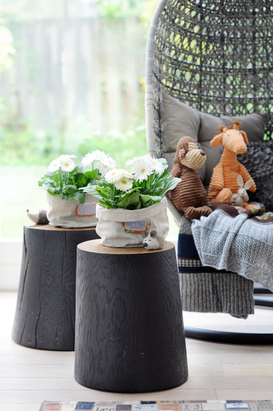 Le gerbera est une plante vivace dont la durée de vie peut atteindre trois ans. Pour cela, il faut le placer dans un endroit lumineux, et veiller à ce que la température reste stable, entre 18° et 24°.