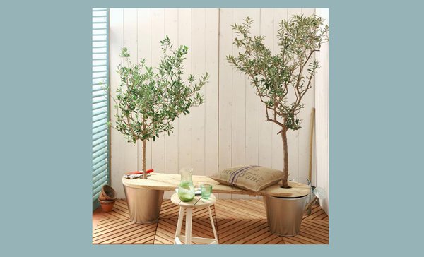 2 oliviers, 2 planches de bois, 2 pots en terre et 2 seaux pour un banc original.