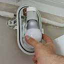 Etape 13 : Vissez une nouvelle ampoule à basse consommation dans le culot.