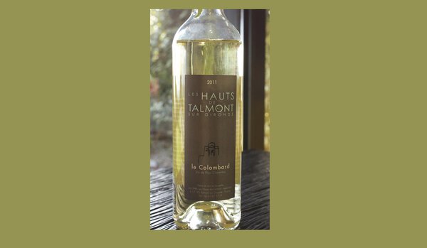 « Les Hauts de Talmont », vinifié à partir d'un cépage discret, le Colombard; un vin de copain qui ira loin !!
