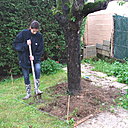 Etape 2 : BECHER : Retournez la terre le plus profondément possible, pour faciliter l’enracinement des fleurs. Prenez soin de ne pas abîmer les racines de l’arbre.