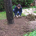Etape 3 : Désherber : Enlevez les mottes d’herbes pour les empêcher de raciner à nouveau. Déposez les mottes dans le compost.