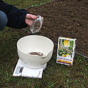 Etape 7 : PESER : Pesez la quantité nécessaire pour la surface à semer.