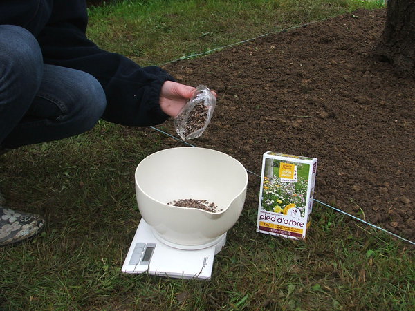 Etape 7 : PESER : Pesez la quantité nécessaire pour la surface à semer.