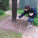 Etape 9 : SEMER : Semez le mélange à la volée. Veillez à recouvrir toute la surface.