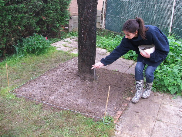 Etape 9 : SEMER : Semez le mélange à la volée. Veillez à recouvrir toute la surface.