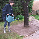 Etape 11 : ARROSER : Arrosez en pluie fine, en maintenant une terre humide jusqu’à la levée des graines.