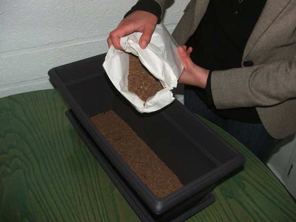 Etape 1 : VERSER : Déposer les 500 grammes de support de culture au fond de la jardinière.