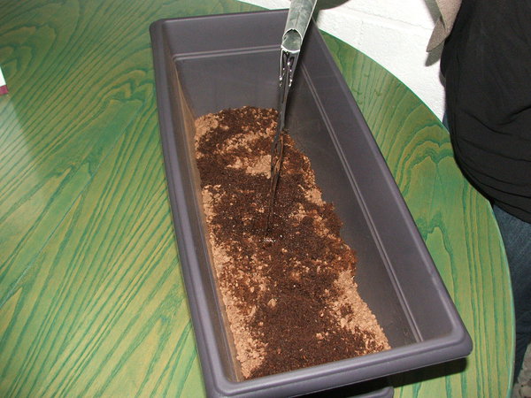 Etape 2 : ARROSER : 3 litres d‘eau sont nécessaires pour bien humidifier le support de culture. Le support de culture en triplant de volume au contact de l'eau, conserve longtemps l'humidité nécessaire au développement des plantes.