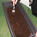 Etape 3 : REMUER : Remuer à l’aide d’une fourchette pour que le support de culture absorbe l’eau. Arroser de nouveau si nécessaire.