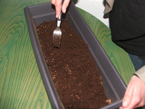 Etape 3 : REMUER : Remuer à l’aide d’une fourchette pour que le support de culture absorbe l’eau. Arroser de nouveau si nécessaire.