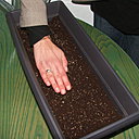 Etape 5 : TASSER : Tasser délicatement pour mettre les graines en contact avec le support de culture.