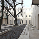 La cour des marronniers, en hiver. La cour des marronniers, en hiver.