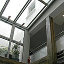 Appart 1. Les espaces de circulation dialoguent avec la verrière.