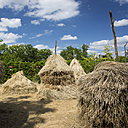 Des meules impressionnantes. Hommage à Claude Monet, mais aussi aux différentes techniques propres à la construction des meules de paille qui peuvent être hautes et coniques en Pologne ou aux étendages sur barres en Slovaquie. Création Robin Godde (France).