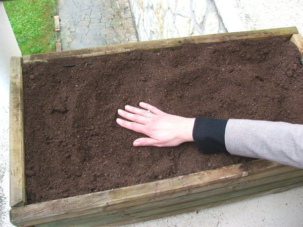 Etape 2 APLANIR : aplanir le terreau pour effectuer un semis régulier.
