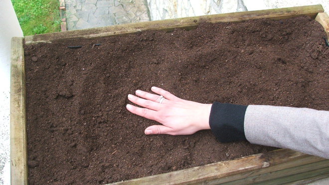 Etape 2 APLANIR : aplanir le terreau pour effectuer un semis régulier.