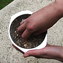 Etape 4 MÉLANGER : mélanger le contenu du sac afin d’obtenir un mélange homogène entre les cosses et les graines.