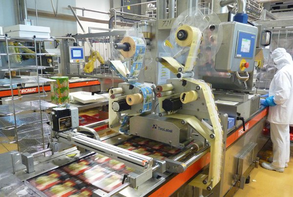 Les plaques sont ensuite empilées par 4 pour être conditionnées dans des barquettes.