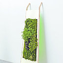 Horizon 180 est une plaque de Dacryl sur un support en bois dans lequel est intégré un tapis de terreau qui favorise la culture verticale de ce petit bout de jardin intérieur. Adossé à un mur, Horizon 180 devient un élégant tableau végétal.