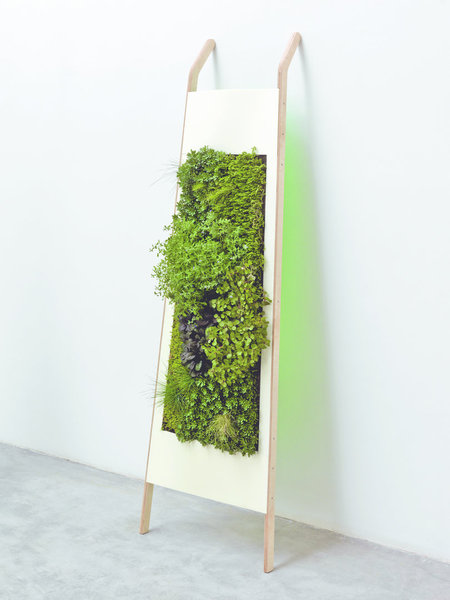 Horizon 180 est une plaque de Dacryl sur un support en bois dans lequel est intégré un tapis de terreau qui favorise la culture verticale de ce petit bout de jardin intérieur. Adossé à un mur, Horizon 180 devient un élégant tableau végétal.