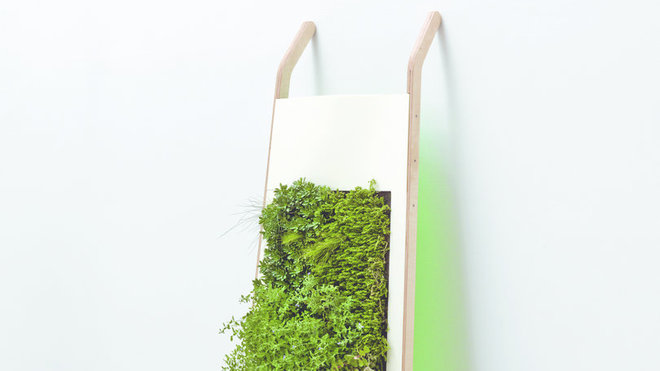 Horizon 180 est une plaque de Dacryl sur un support en bois dans lequel est intégré un tapis de terreau qui favorise la culture verticale de ce petit bout de jardin intérieur. Adossé à un mur, Horizon 180 devient un élégant tableau végétal.