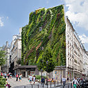 Le botaniste-chercheur Patrick Blanc signe un nouveau mur végétal, l’OASIS D’ABOUKIR, au cœur du 2è arrondissement de Paris (triangle Montorgueil, Réaumur Sébastopol et Grands Boulevards). Cet immense jardin vertical ouvre de nouvelles perspectives au niveau du bien-être des habitants, offrant un véritable espace de biodiversité, un lieu de vie et d’échanges, dans ce tronçon désormais piétonnier.