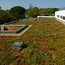 Très à la mode, le principe de toit végétalisé consiste à recouvrir un toit plat ou de faible pente d’un substrat végétalisé. Les bénéfices escomptés sont un confort thermo-hygrométrique amélioré, une diminution du bruit et une amélioration du cadre urbain, ainsi qu’une protection du bâti contre les chocs thermiques. En bref, un accroissement de la biodiversité urbaine. Vivagreen®, par Sopranature®.