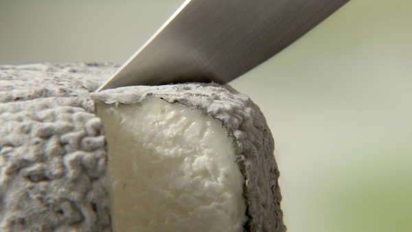 Moelleux et doux, sa texture fond en bouche.