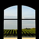 Château Larrivet Haut-Brion: un Pessac-Léognan qui existe en blanc et en rouge.