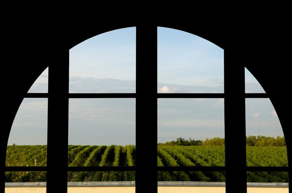 Château Larrivet Haut-Brion: un Pessac-Léognan qui existe en blanc et en rouge.