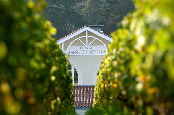 Le chai du Château Larrivet Haut-Brion, vu des vignes.