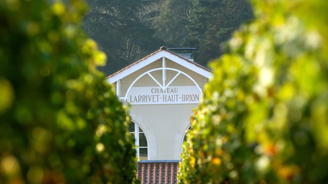 Le chai du Château Larrivet Haut-Brion, vu des vignes.