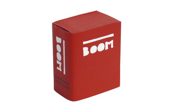 Catalogue Irma Boom « Biography in Books », 2013, réédition revue et complétée, existe en version française. Il contient l’ensemble de l’œuvre d’Irma Boom. Monographie rehaussée de plus de 450 illustrations.