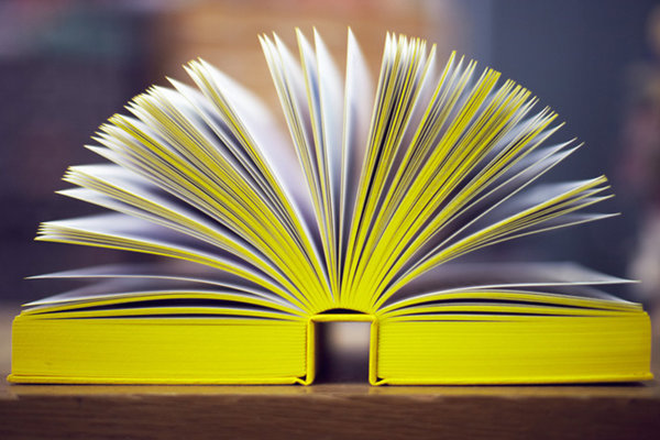 James Jennifer Georgina by Jennifer Butler. Livre conçu par Irma Boom, 2010, Edition limitée de 999 copies.